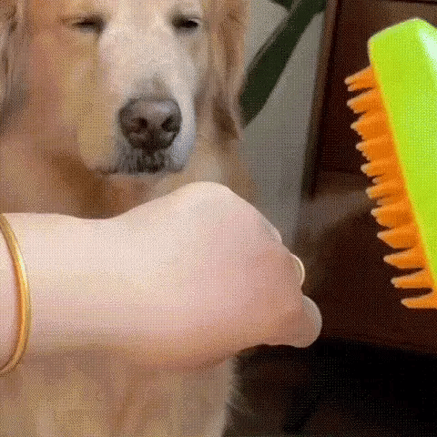 CEPILLO PARA MASCOTAS CON VAPOR HIGIENIZANTE